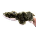 Alligator